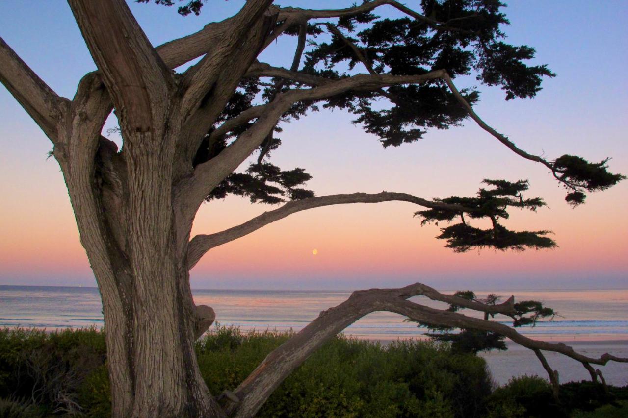 Sea View Inn - Carmel Kültér fotó