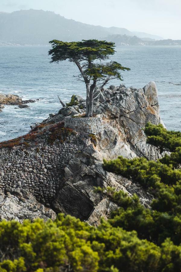 Sea View Inn - Carmel Kültér fotó